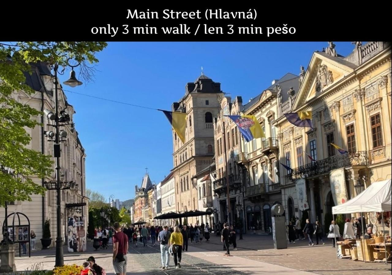 E1 Luxury Oldtown Apt - 2X Parking, Foodstore, Pcscreen, Netflix, Unlimited Music, Crib, Babychair, Fastwifi, Aircon Kosice Exterior photo